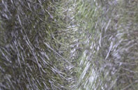 Artigarvan fibreglass roof work